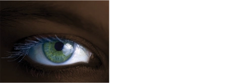 Money Factors